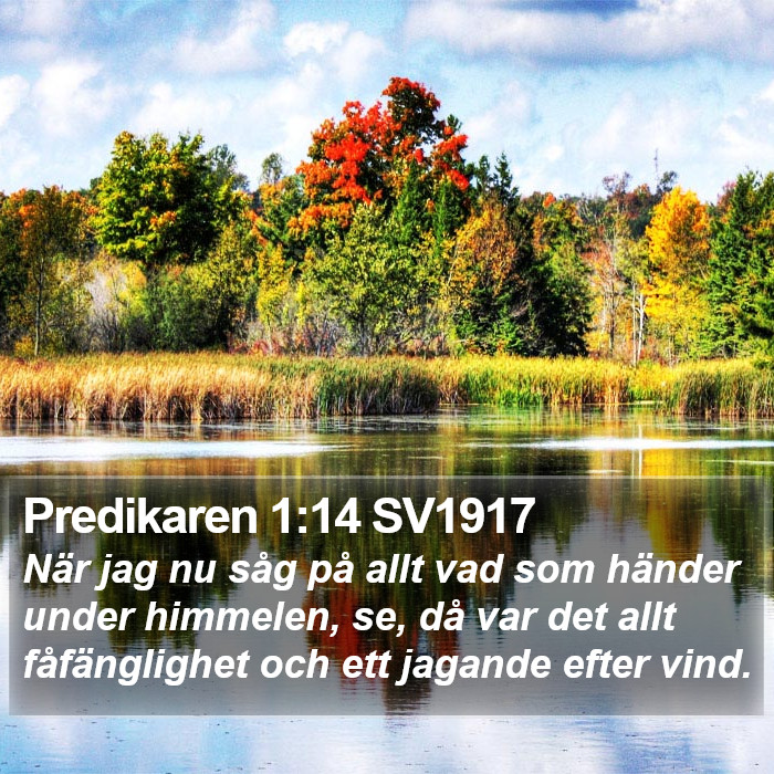 Predikaren 1:14 SV1917 Bible Study