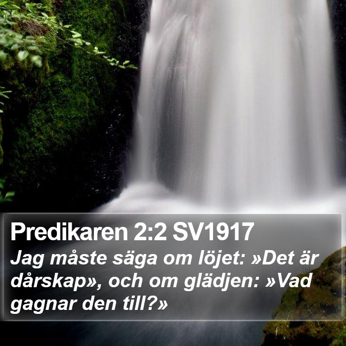 Predikaren 2:2 SV1917 Bible Study