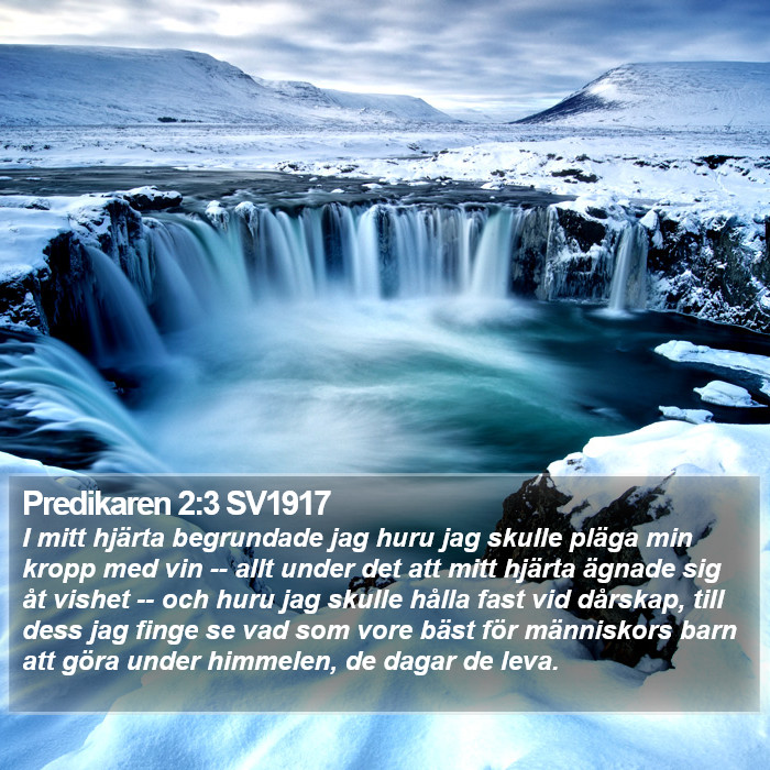 Predikaren 2:3 SV1917 Bible Study