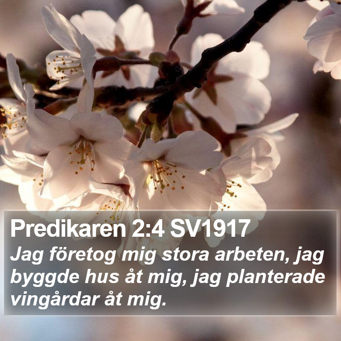Predikaren 2:4 SV1917 Bible Study