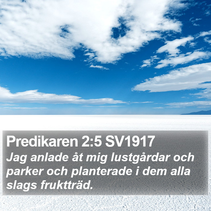 Predikaren 2:5 SV1917 Bible Study