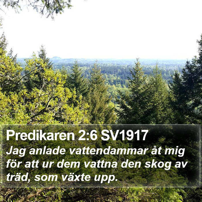 Predikaren 2:6 SV1917 Bible Study