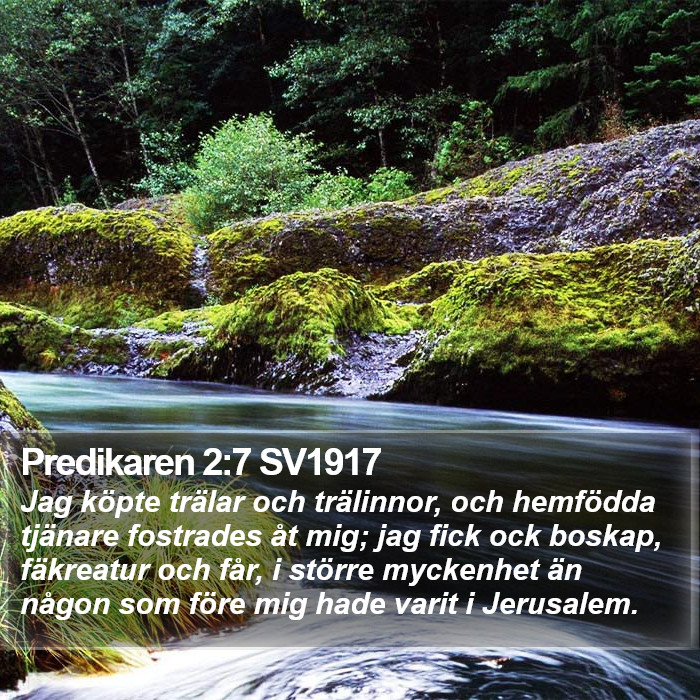 Predikaren 2:7 SV1917 Bible Study