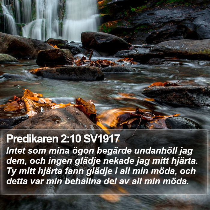 Predikaren 2:10 SV1917 Bible Study