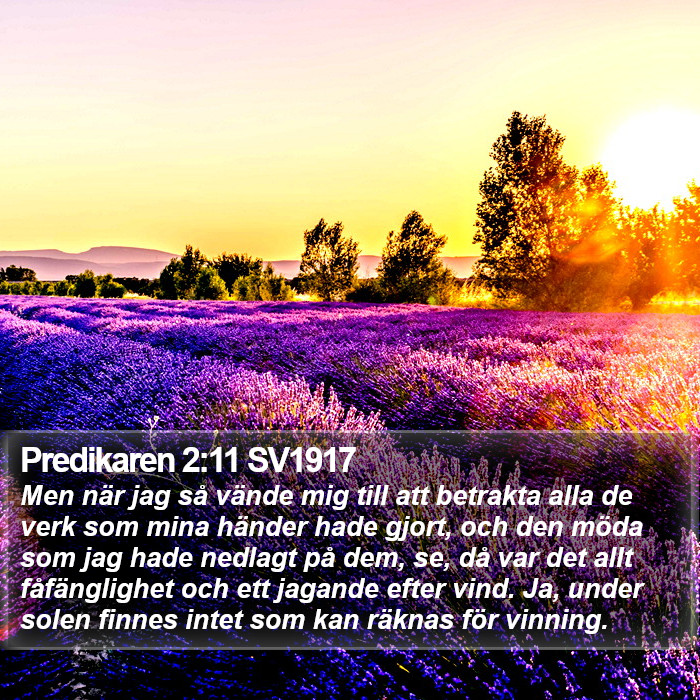 Predikaren 2:11 SV1917 Bible Study