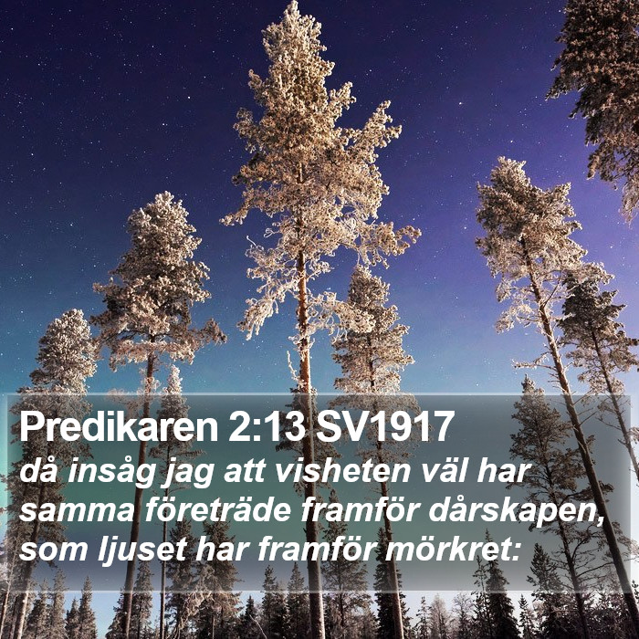 Predikaren 2:13 SV1917 Bible Study