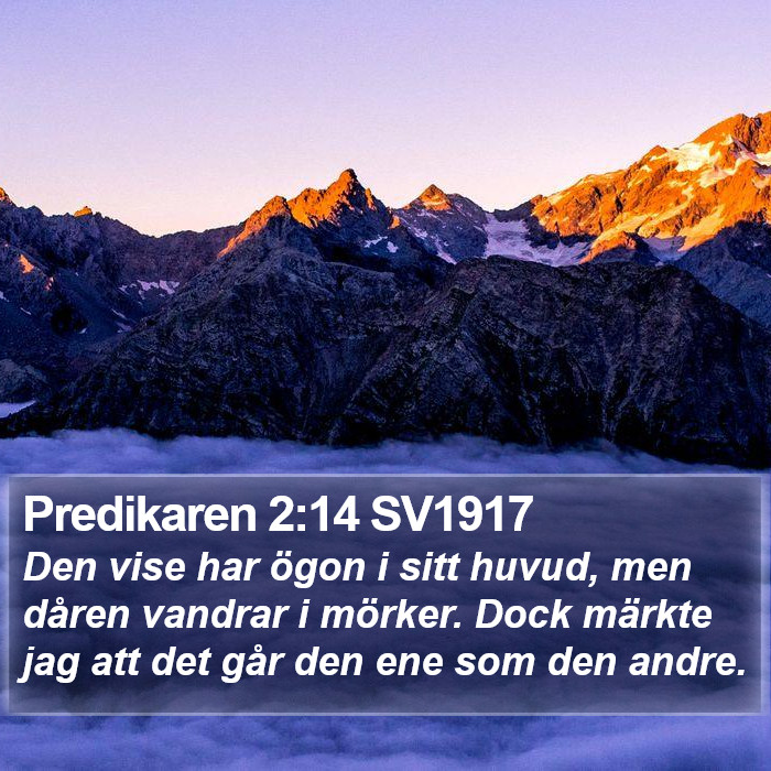 Predikaren 2:14 SV1917 Bible Study
