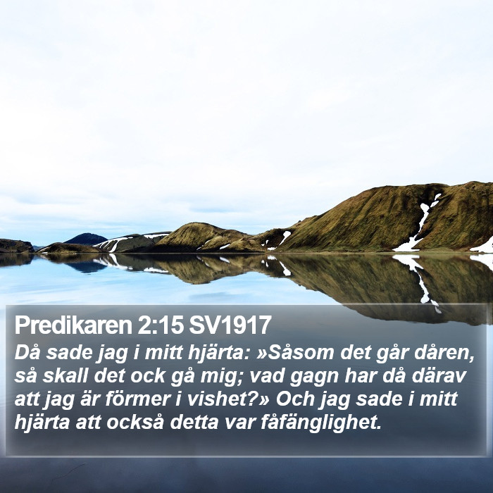 Predikaren 2:15 SV1917 Bible Study