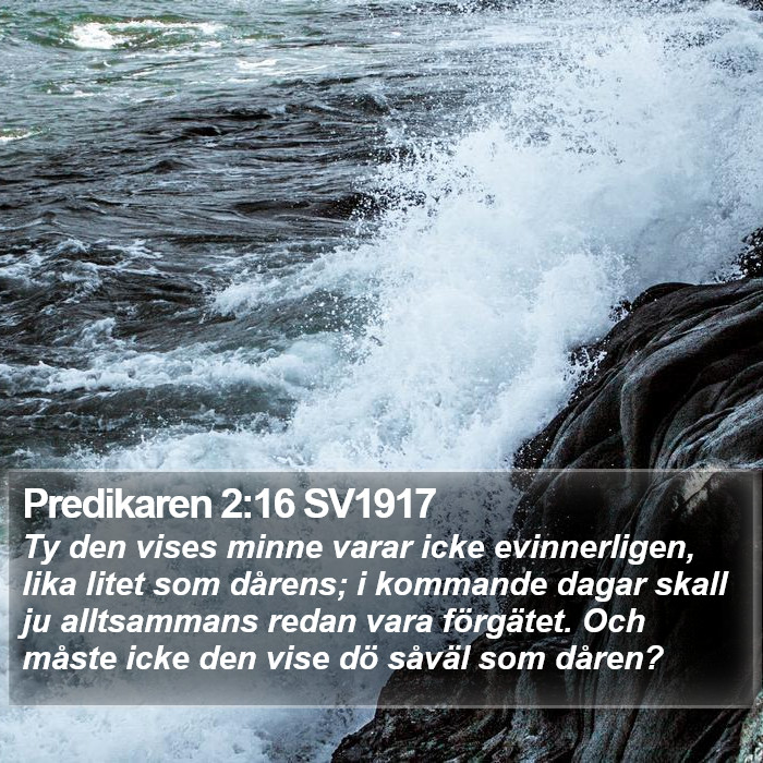 Predikaren 2:16 SV1917 Bible Study