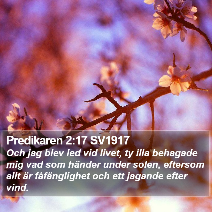 Predikaren 2:17 SV1917 Bible Study