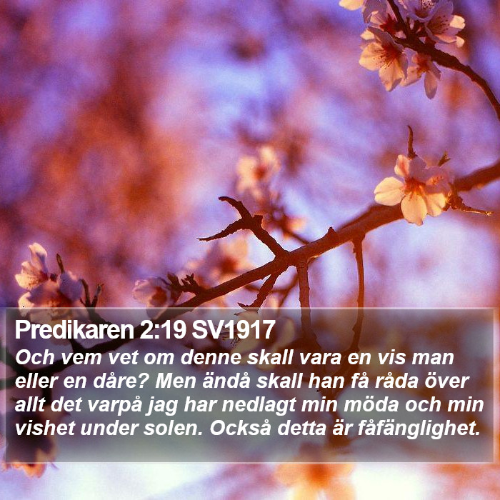 Predikaren 2:19 SV1917 Bible Study