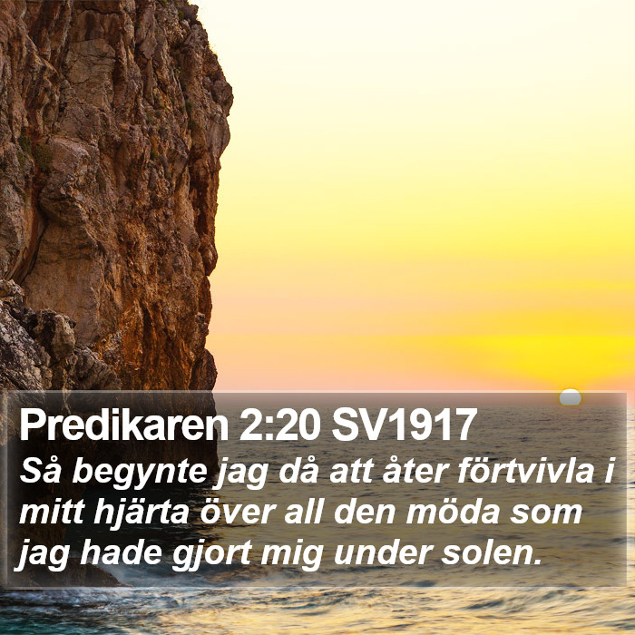 Predikaren 2:20 SV1917 Bible Study