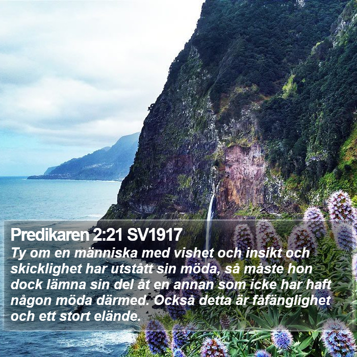 Predikaren 2:21 SV1917 Bible Study