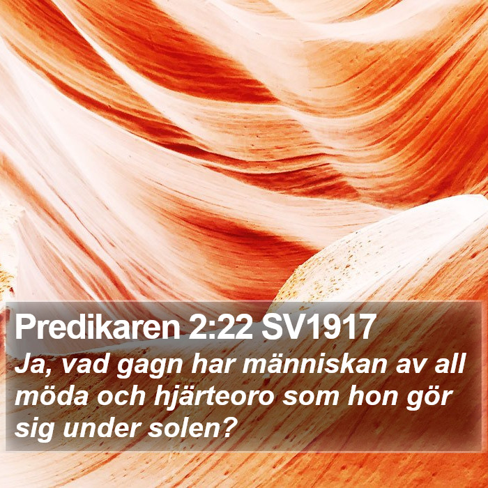 Predikaren 2:22 SV1917 Bible Study