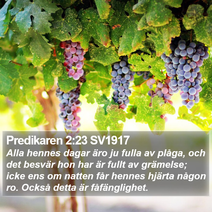Predikaren 2:23 SV1917 Bible Study