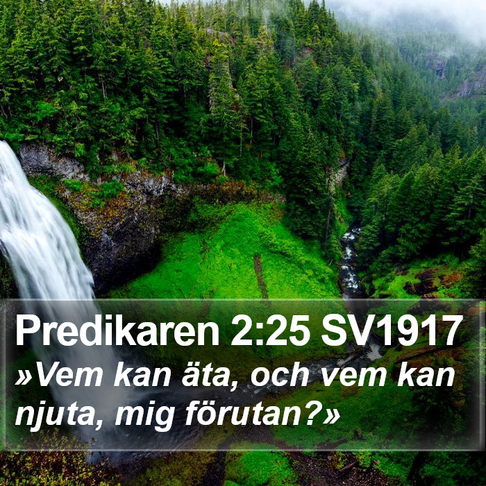 Predikaren 2:25 SV1917 Bible Study