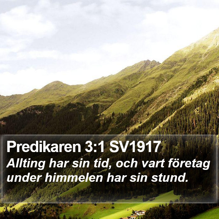 Predikaren 3:1 SV1917 Bible Study