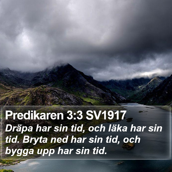 Predikaren 3:3 SV1917 Bible Study