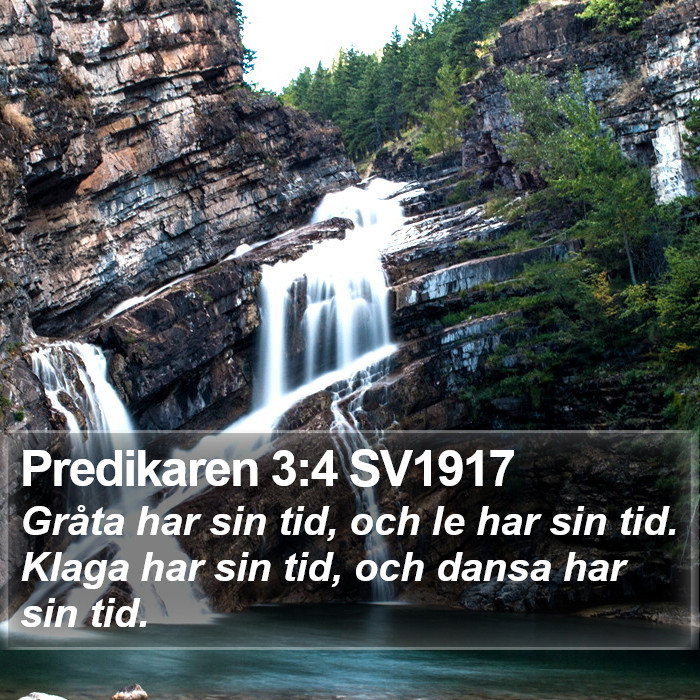 Predikaren 3:4 SV1917 Bible Study