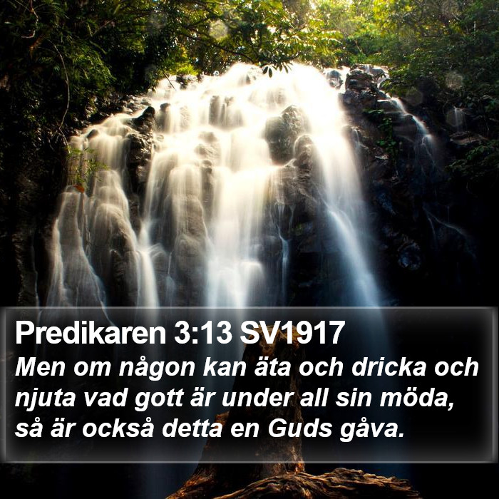 Predikaren 3:13 SV1917 Bible Study