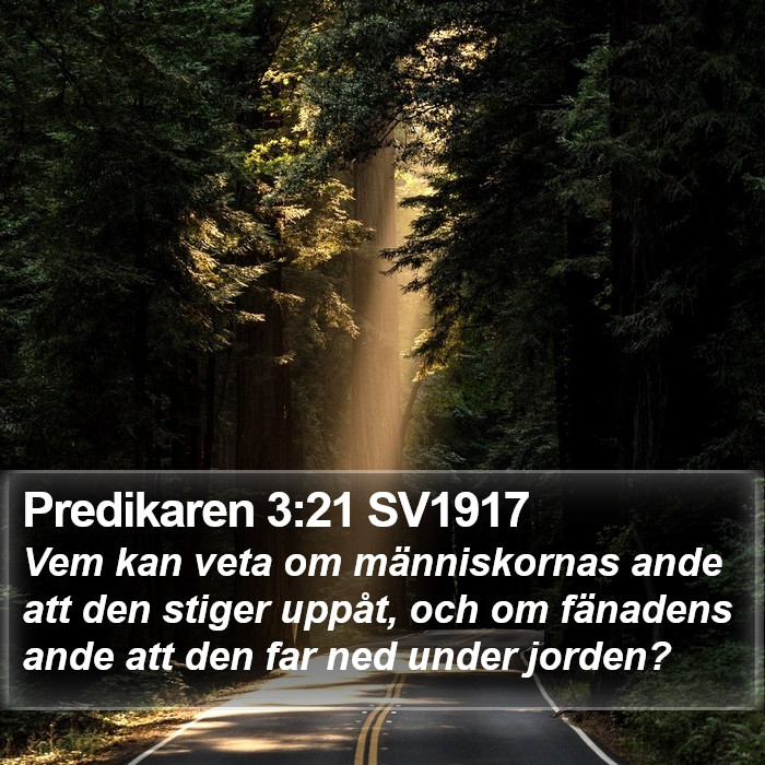 Predikaren 3:21 SV1917 Bible Study