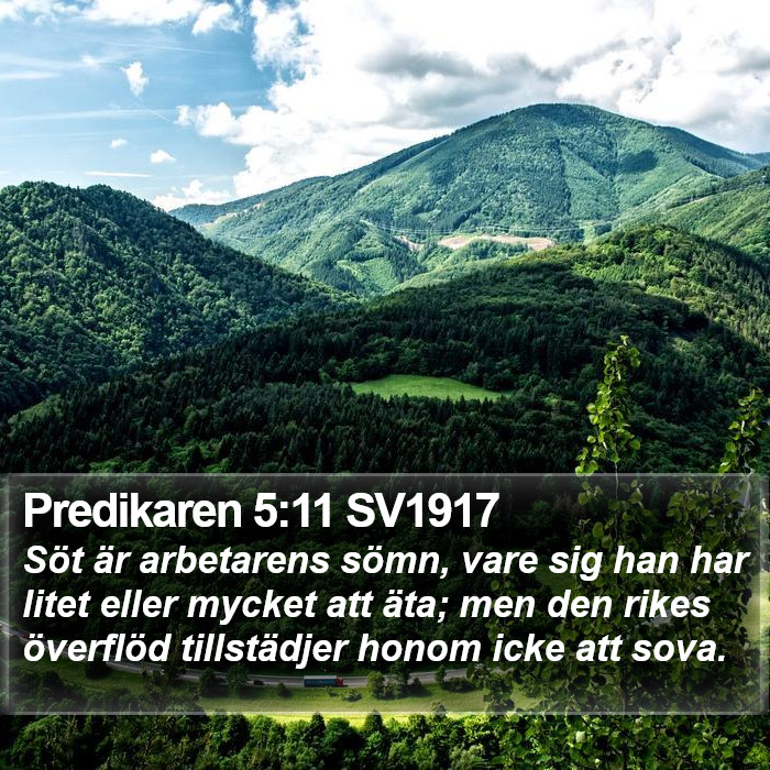 Predikaren 5:11 SV1917 Bible Study