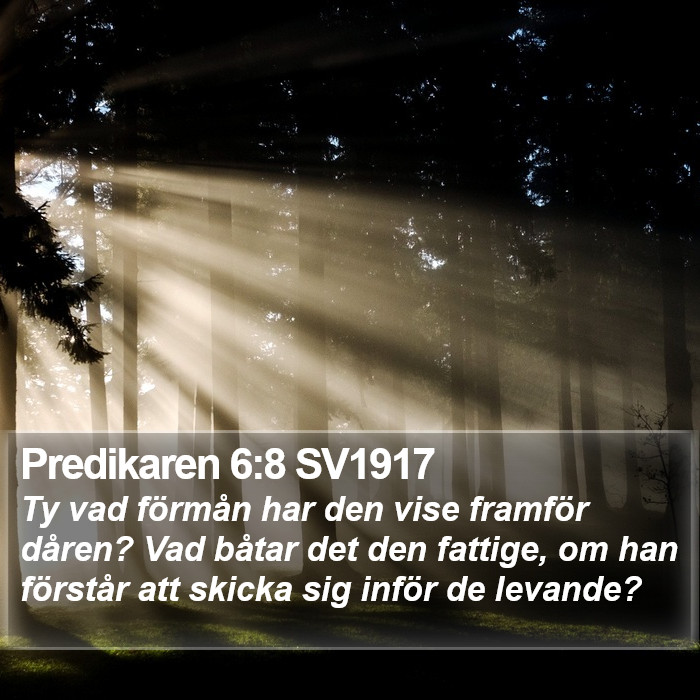 Predikaren 6:8 SV1917 Bible Study