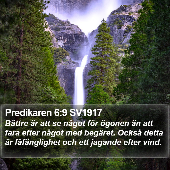 Predikaren 6:9 SV1917 Bible Study