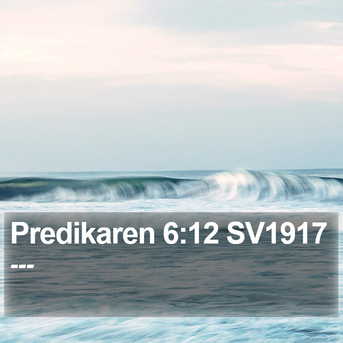 Predikaren 6:12 SV1917 Bible Study