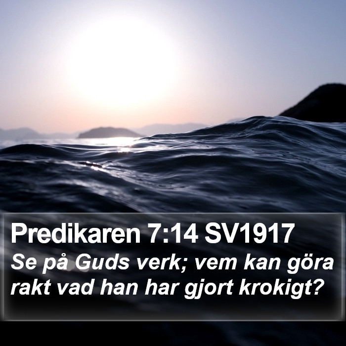 Predikaren 7:14 SV1917 Bible Study