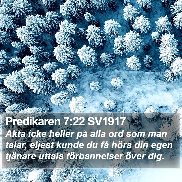 Predikaren 7:22 SV1917 Bible Study