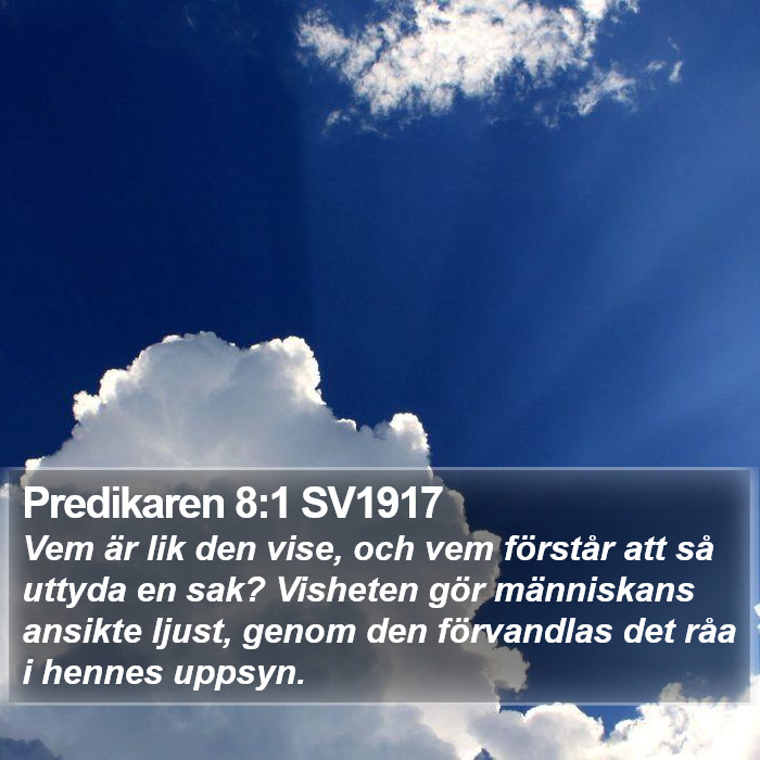 Predikaren 8:1 SV1917 Bible Study