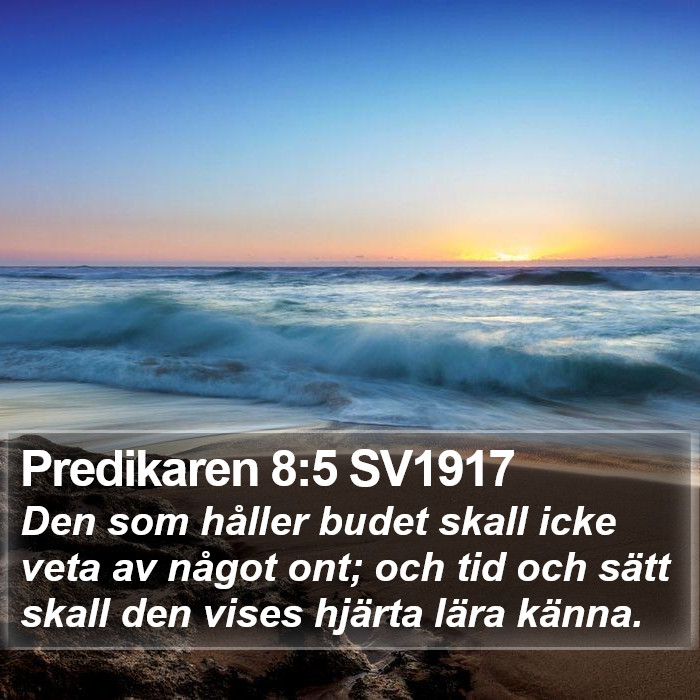 Predikaren 8:5 SV1917 Bible Study