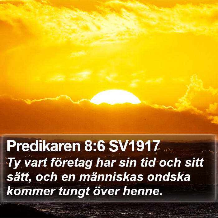Predikaren 8:6 SV1917 Bible Study