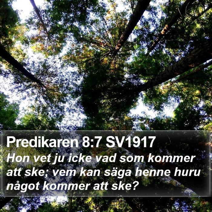 Predikaren 8:7 SV1917 Bible Study