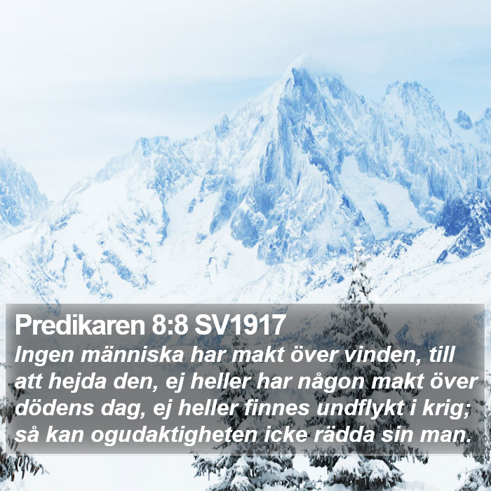 Predikaren 8:8 SV1917 Bible Study