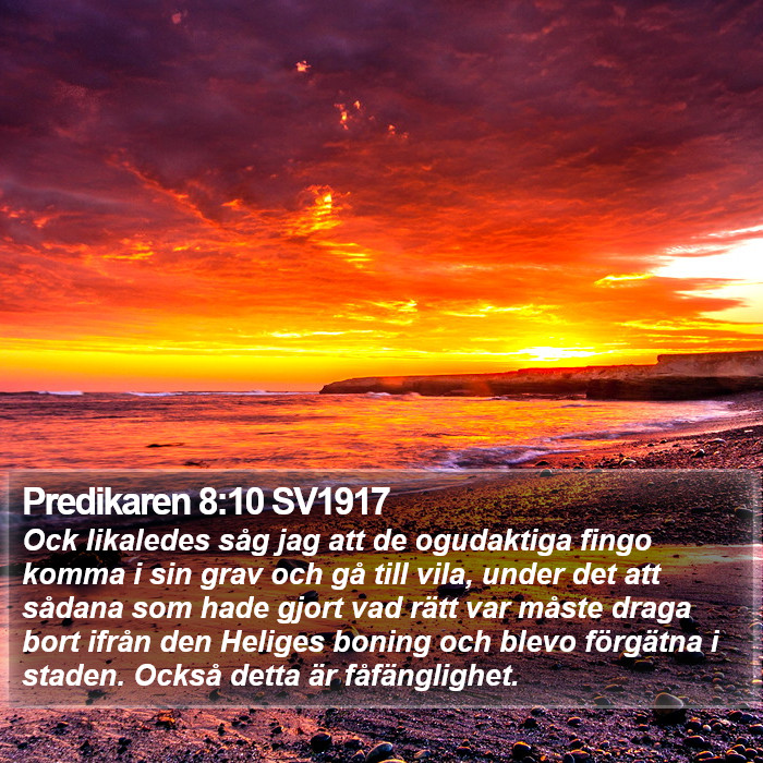 Predikaren 8:10 SV1917 Bible Study