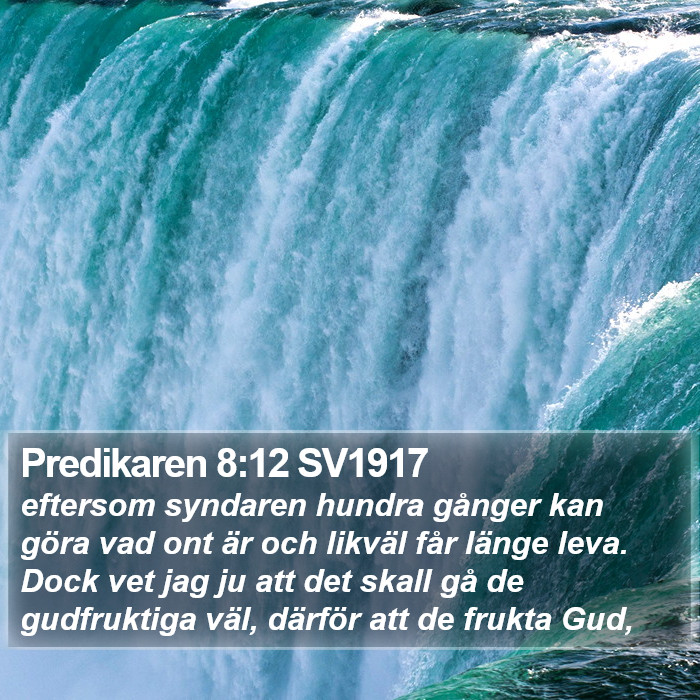 Predikaren 8:12 SV1917 Bible Study