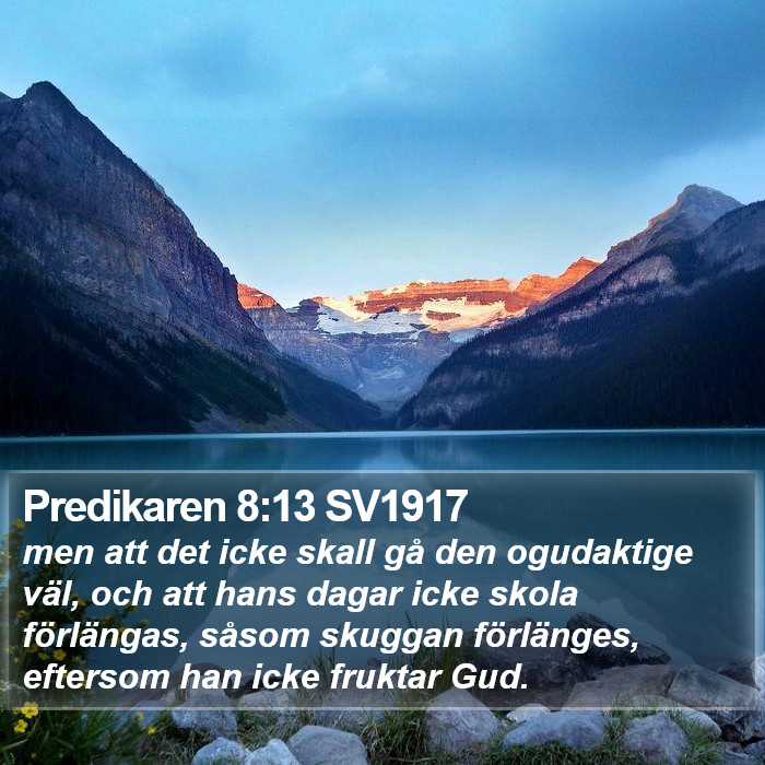 Predikaren 8:13 SV1917 Bible Study