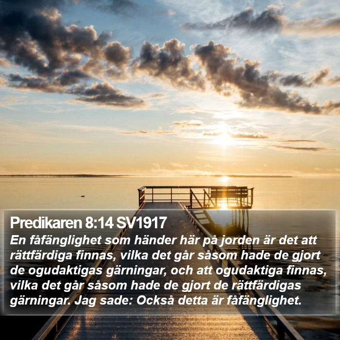 Predikaren 8:14 SV1917 Bible Study