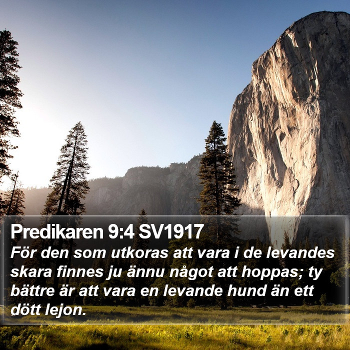 Predikaren 9:4 SV1917 Bible Study