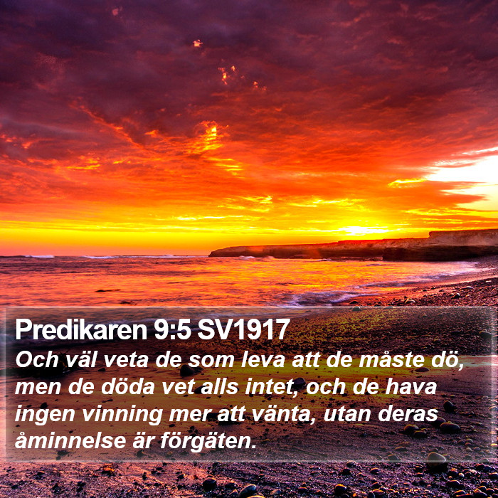 Predikaren 9:5 SV1917 Bible Study