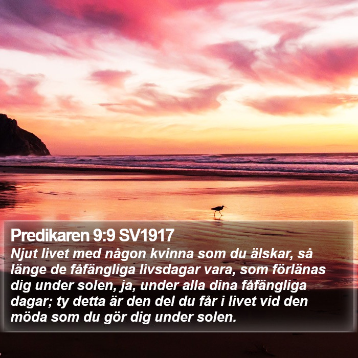 Predikaren 9:9 SV1917 Bible Study