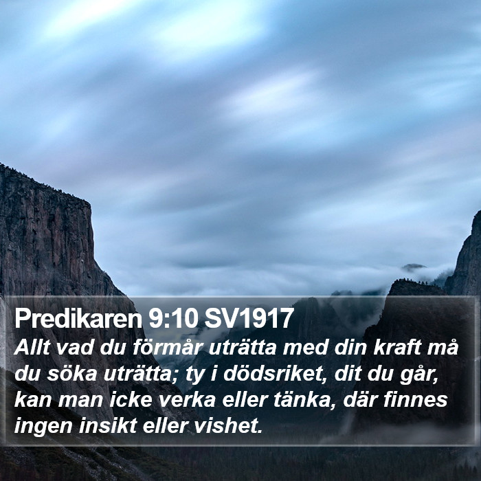 Predikaren 9:10 SV1917 Bible Study