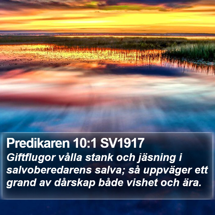 Predikaren 10:1 SV1917 Bible Study