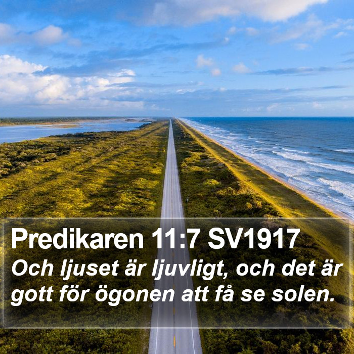 Predikaren 11:7 SV1917 Bible Study
