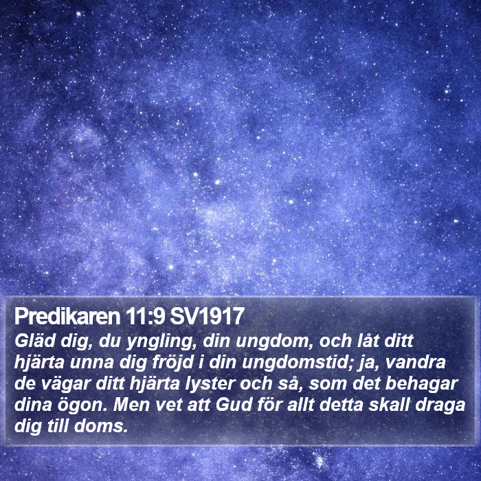 Predikaren 11:9 SV1917 Bible Study