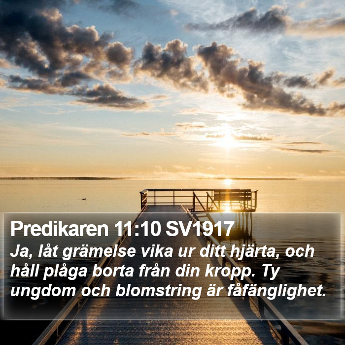 Predikaren 11:10 SV1917 Bible Study