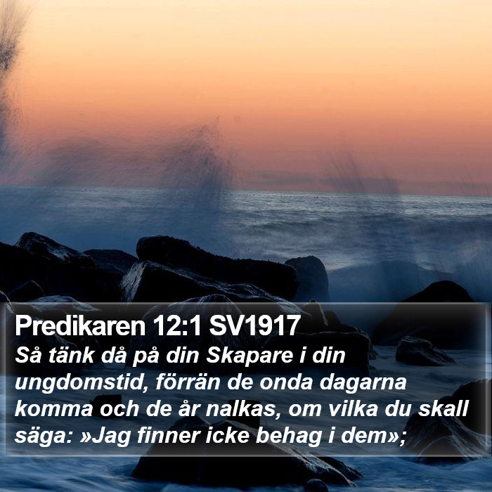 Predikaren 12:1 SV1917 Bible Study
