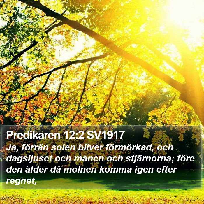 Predikaren 12:2 SV1917 Bible Study